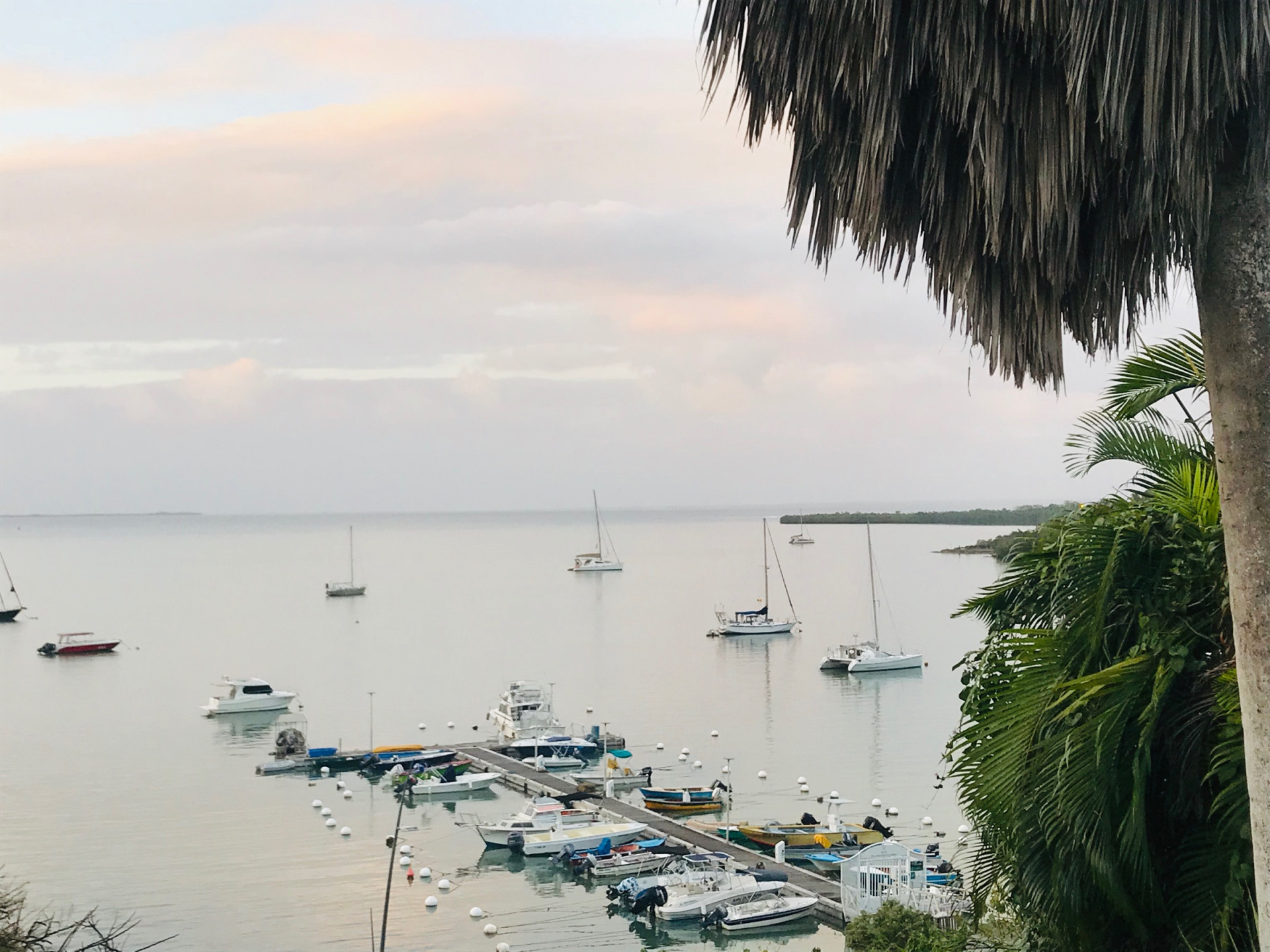 Baie Mahault