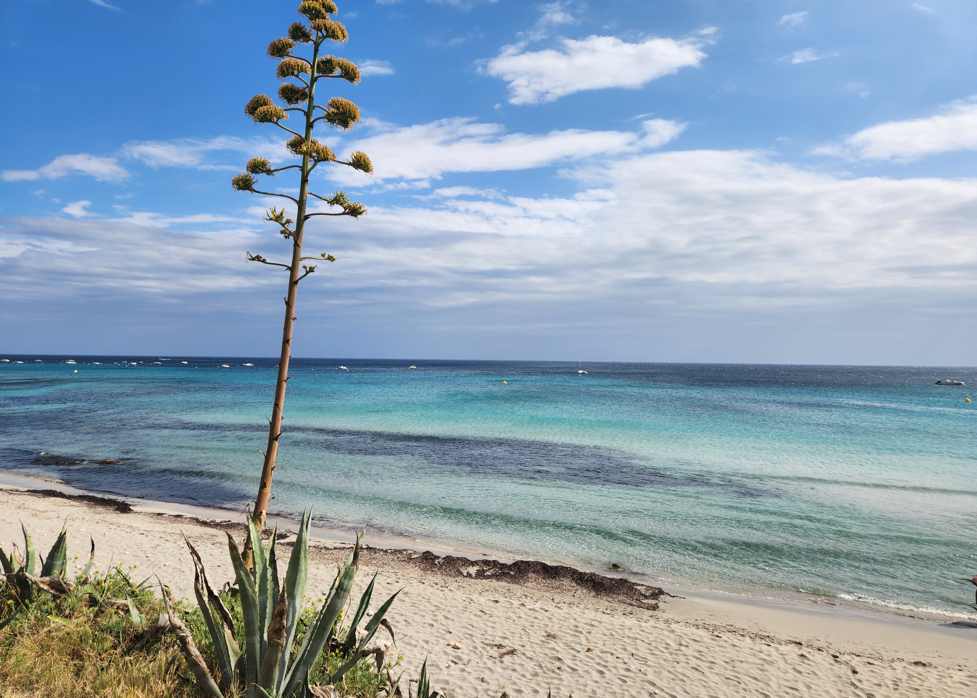 Playa Binigaus