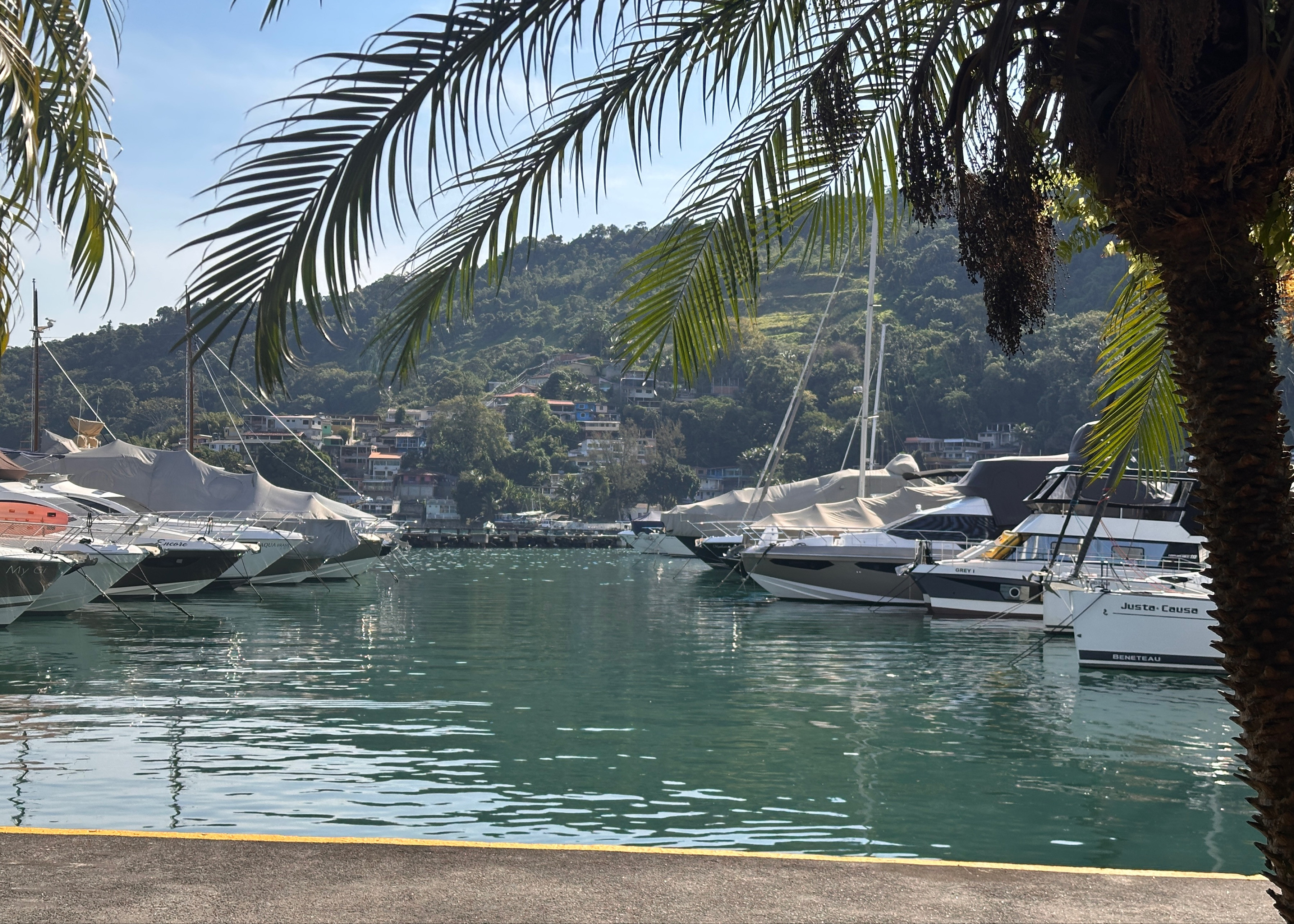 BR Marina Verolme