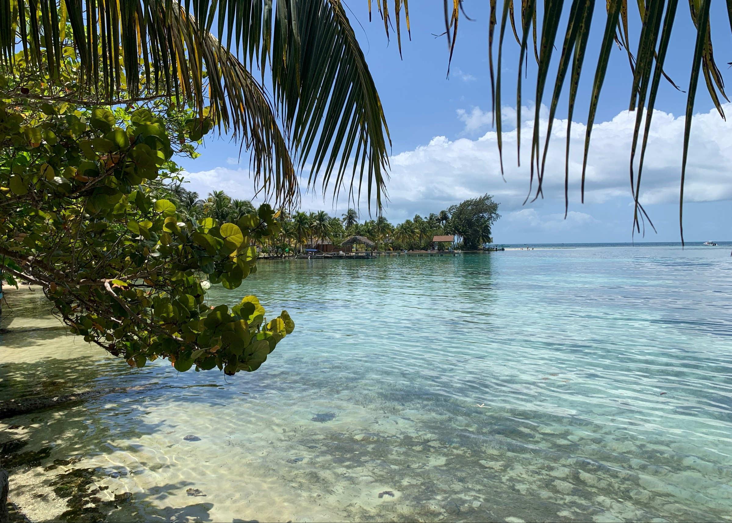 South water caye
