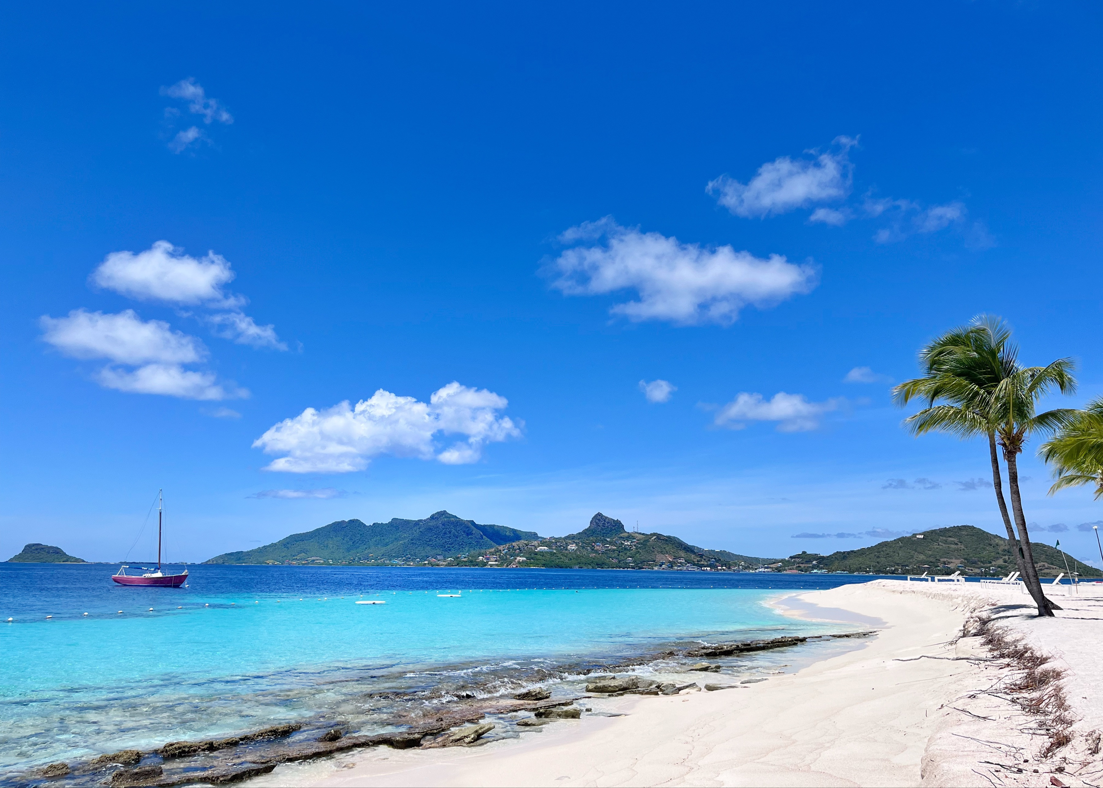 Palm Island