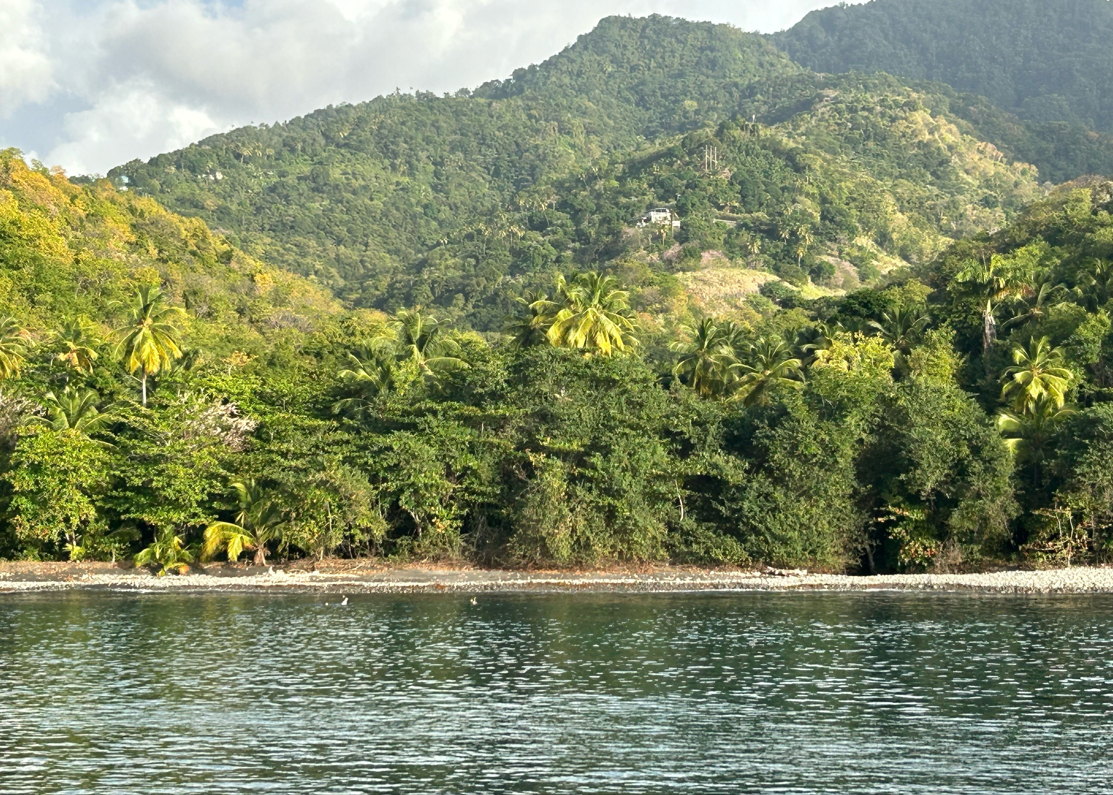 Anse La Verdure