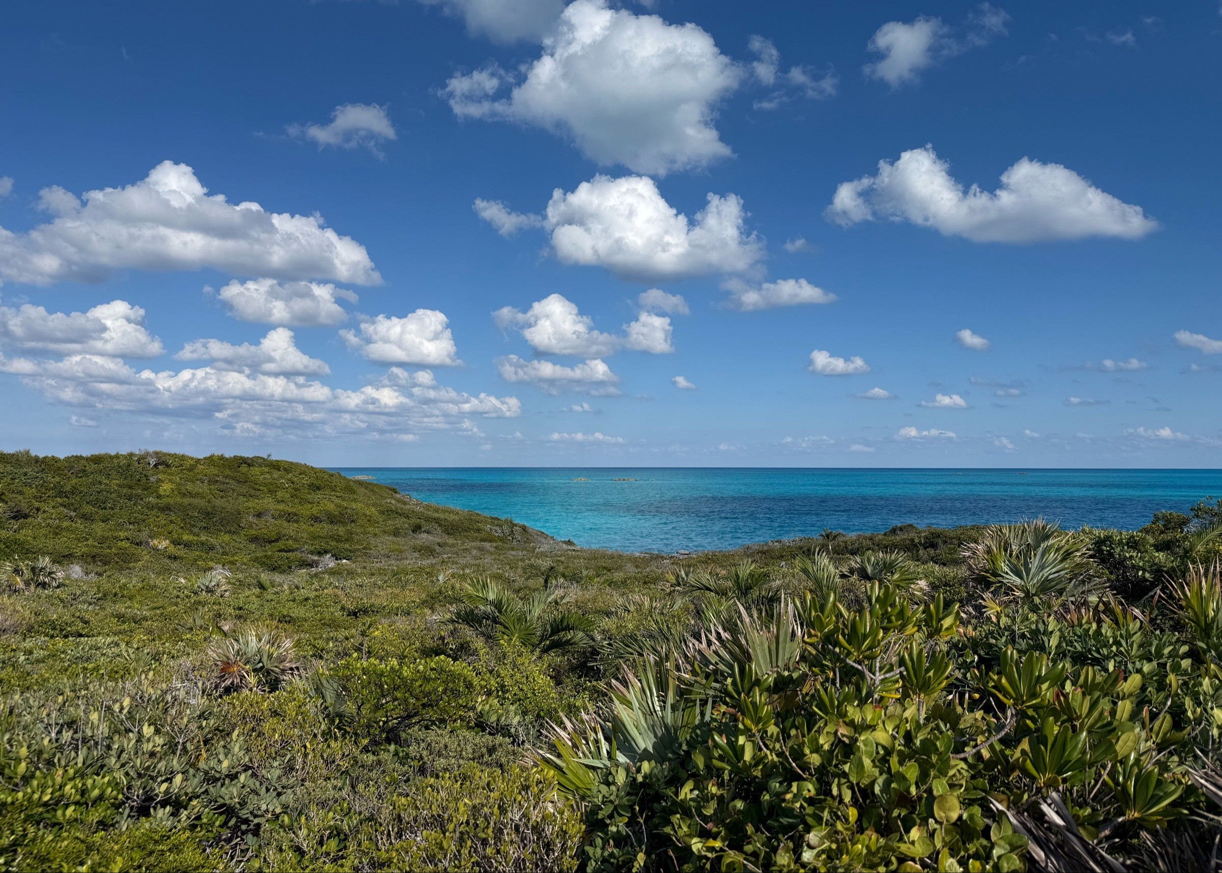 Hawk Sbill Cay