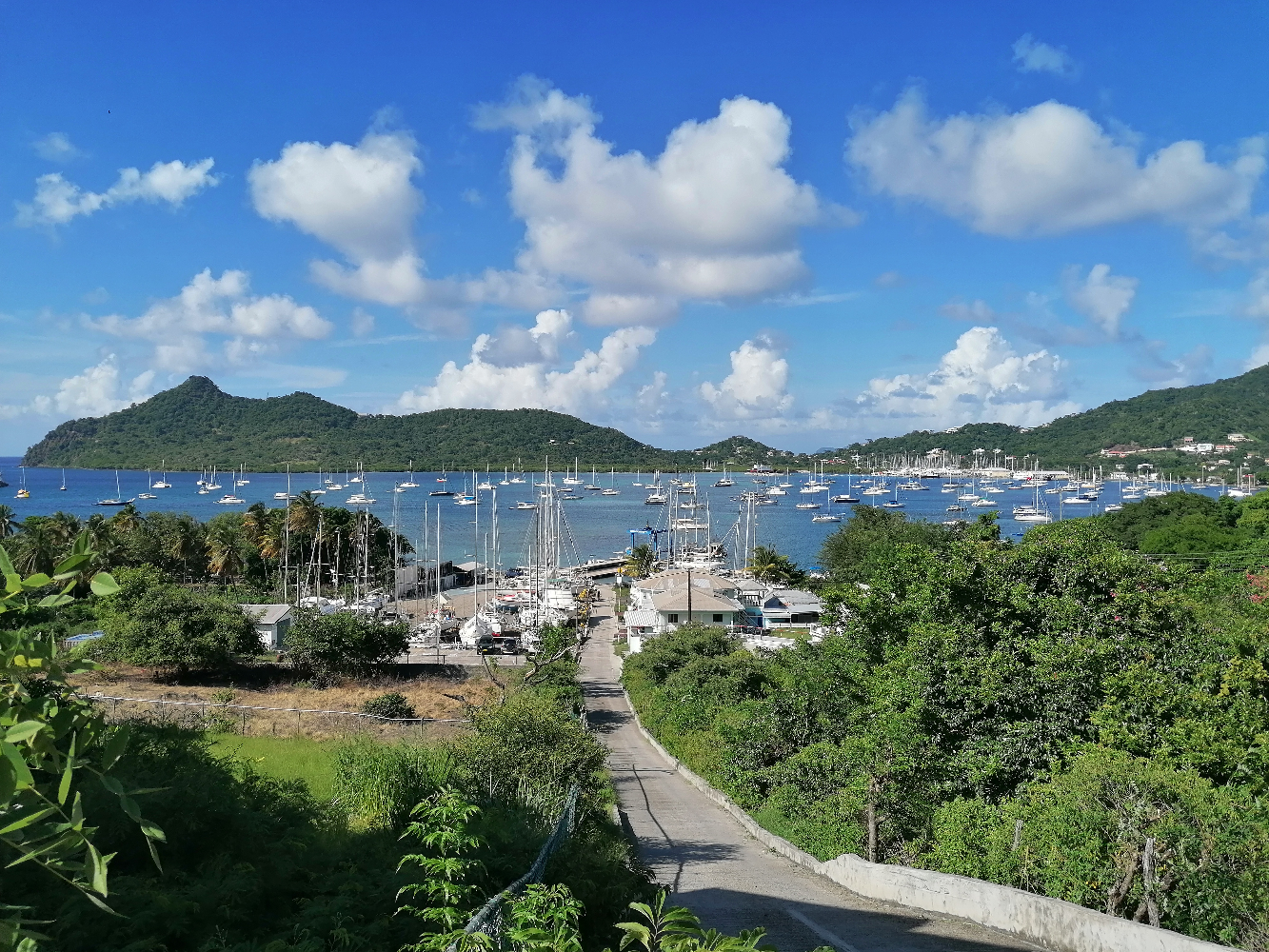Marina De Carriacou