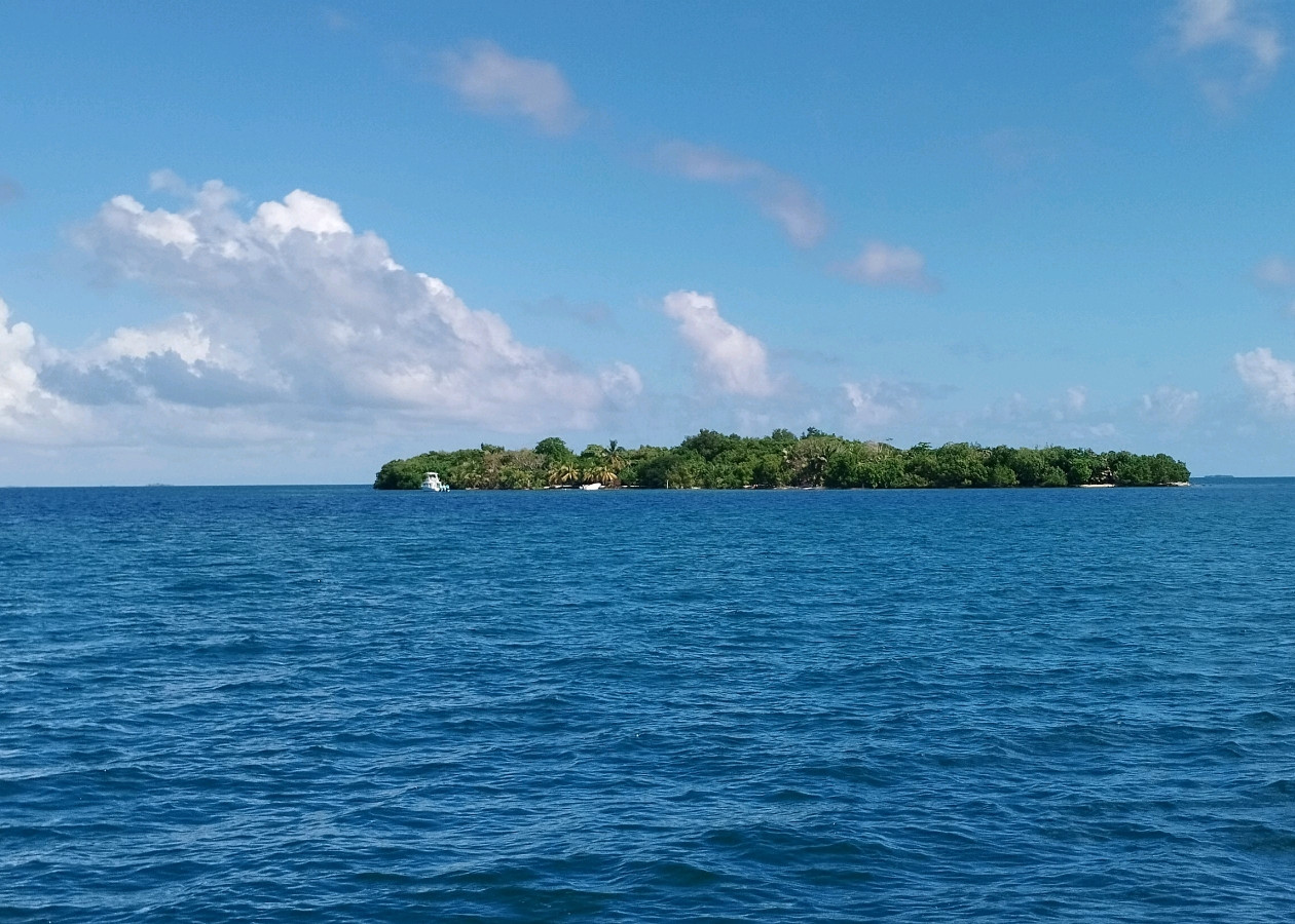 Caye Scipio