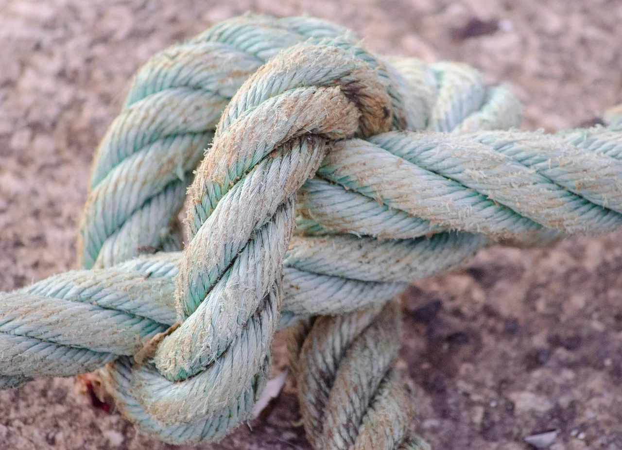 ОНЛАЙН МАСТЕРКЛАСС - ВЯЗАНИЕ МОРСКИХ УЗЛОВ - knot-2663206_1280.jpg