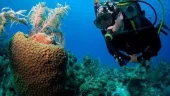 Seychelles diving trip on Galatea - 1