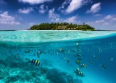 Maldives liveaboard diving trip - 1