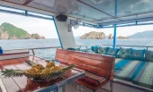 Whale shark dive expedition in Thailand - 6