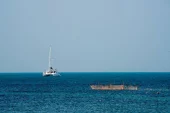Sri Lanka crociera in barca a vela in cabina - 0