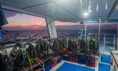Whale shark dive expedition in Thailand - 11