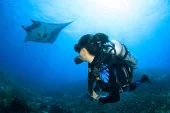 Maldives liveaboard diving trip - 3