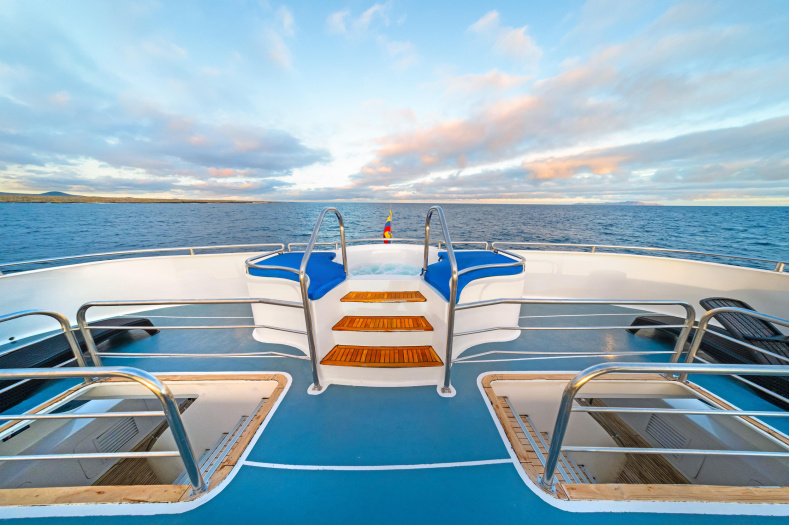 Motor Catamaran