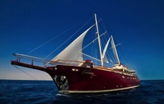 Voyage de plongée aux Seychelles sur Galatea - 0